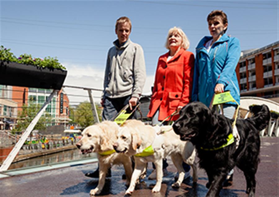 Three consumers using guide dogs. 